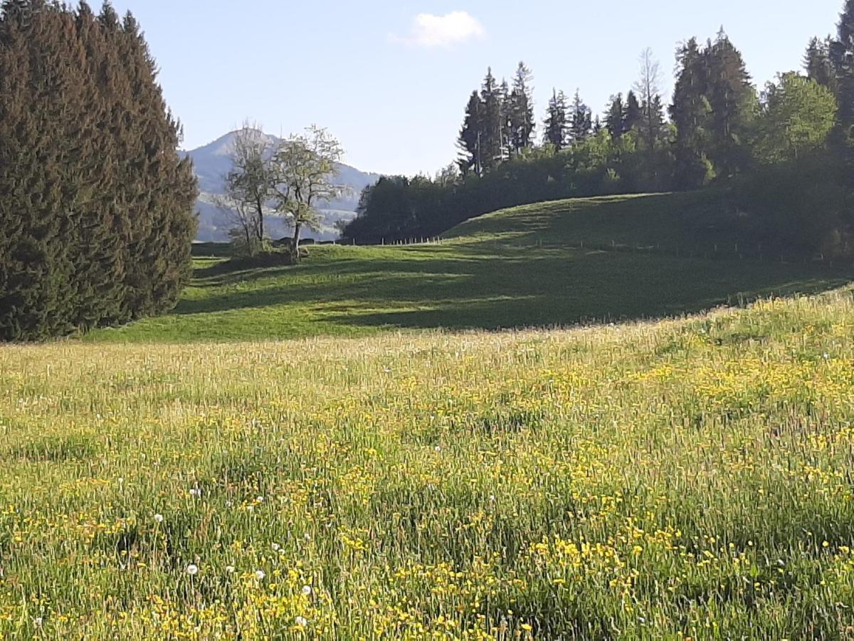Traumgarten Allgaeu Rettenberg Kültér fotó